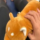 화이트플러스치과의원 이미지