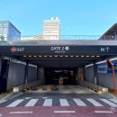 경기도청입구 ~ 수원시민회관 ~ 팔달산우회도로 | 2025 경기도청 벚꽃 &amp; 팔달산 봄꽃축제 주차 완전정복 🚗🌸