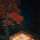 송정작은도서관 | [칠곡] 송정자연휴양림 I 산벚나무 5인실 독채 I 무료 숲체험 후기