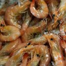 무띠펜션 | +218일 - 국방컨벤션센터 결혼식가다/육군군인결혼식/안면도 여행기!!