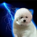 (주)미르메이트 | [3월-4월 쪼끔] 입벌구의 일상(2)