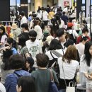 베이비펫 이미지