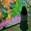 돈사돈구좌흑돼지 이미지