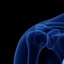 명지본튼튼의원 이미지