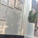 스마트부동산중개사무소 | 덜컥 계약 말고, 스마트하게 고르자! 믿음직한 부동산 중개사무소 선택 기준 3가지 꿀팁 공유해요!