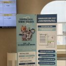 시원메디컬센타 | 김해 공휴일 운영하는 동물병원 김해동물메디컬센터 후기 (고양이 검진)