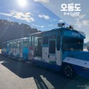 【전남 여수】 아이랑 동백열차 타고 오동도 여수여행코스로 가볼만한 곳