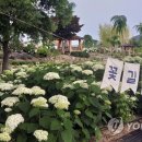 수국정 이미지