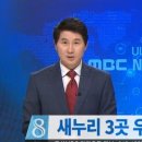 [울산 남구갑] 더민주·무소속 후보 "여론조사 이상" 이미지