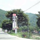 내리솔밭캠핑장 티스토리