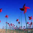 연정황토펜션 이미지