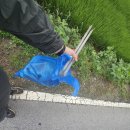 창만4리 이미지