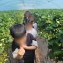 동원태권도장 이미지