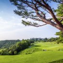 온돌당구장 이미지