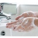 경희콘택트렌즈 이미지