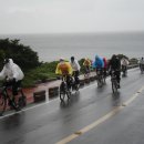 삼부스포렉스 이미지