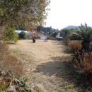 상효동-1 이미지