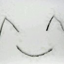 엘트 이미지