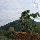 청성펜션 이미지