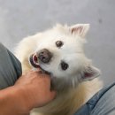 앵두네 - 강릉시 대송길 311-13 | 앵두네
