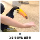 주렁주렁 | 경주 실내 아이랑 가볼만한곳 주렁주렁 동물원 방문 후기