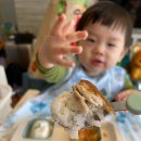 청년고등어 이미지