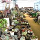 오현농장 이미지