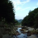 새밭야영장 이미지