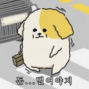 (주)나나렌트카 | 가을의 홋카이도 5박6일 가족여행 | 삿포로 근교 4,5,6일차