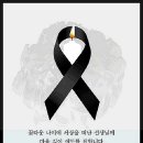 꽃다운 이미지