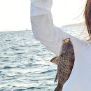 바다로 | 푸켓 요트투어 | 센셋투어 바다로요트 후기