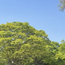 4월의 넷째 주 기록