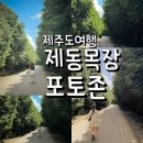 제동 | 제주 제동목장 포토존 제동목장입구 위치 주차 후기