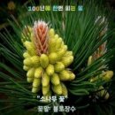 행행행 이미지