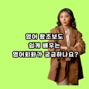 쉽게 배우는 초보영어 | 남주동 영어회화 영어 왕초보도 쉽게 배우는 영어회화가 궁금하나요