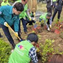 경남 창원시 마산합포구 맘스가든 행사 실시 (국제위러브유운동본부 장길자 회장님) 이미지