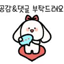 투썸플레이스대전은행점 이미지