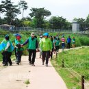 새마을길 이미지