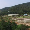 스카이랜드부동산중개법인 이미지