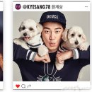 개귀여워 이미지