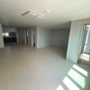 장항농협주유소 이미지