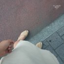 슈가린헤어
