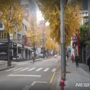 압구정로12길(가로수길) 이미지