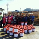 금성면사무소 이미지