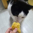 까까앤독 이미지