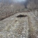 효자농장 이미지