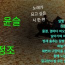 김정조