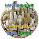 상월농장 이미지