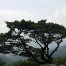 수도산 자연휴양림 이미지