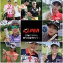 압토솔 이미지